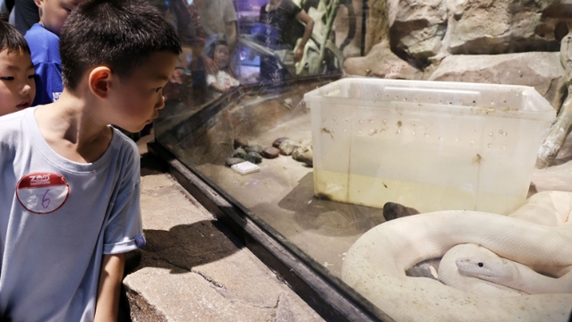 視頻|“世界蛇日”南通森林野生動物園舉行蛇類科普活動
