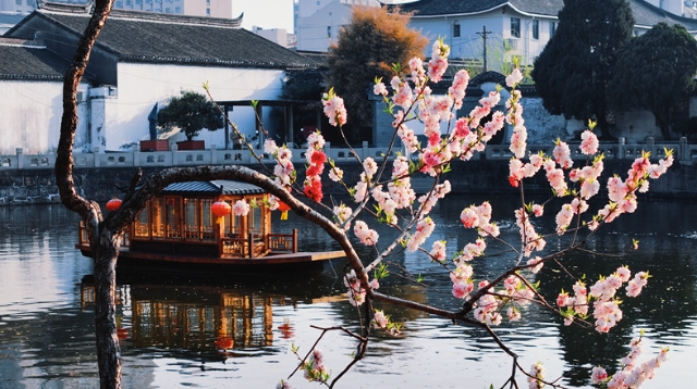 黛瓦鎖春秋,，曲廊浮云影 春日水繪園：賞春好去處